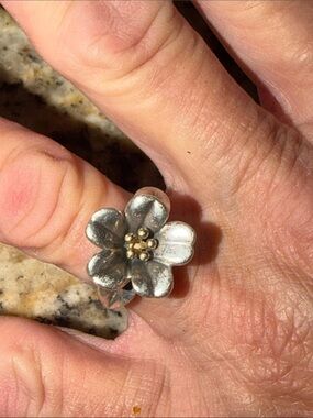 James Avery retired April flower Sterling silver with 18 Karat Gold Center